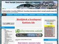 http://penzaneten.eu ismertető oldala